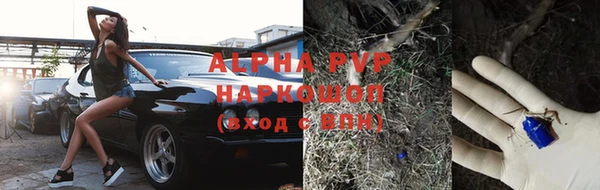 винт Алексин