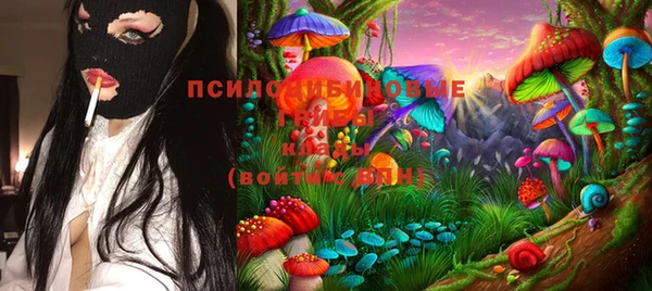винт Алексин