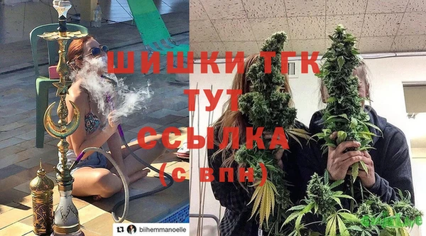 винт Алексин