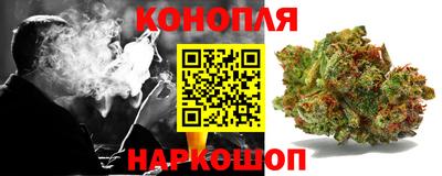 Альфа ПВП Можга