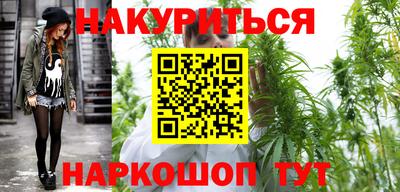 Альфа ПВП Можга