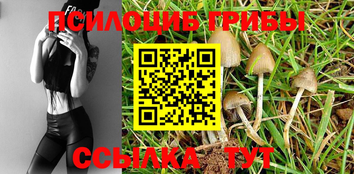 купить  сайты  Галлюциногенные грибы ЛСД  Владивосток  Вход с VPN  Галлюциногенные грибы мицелий 